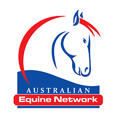 AEN Logo